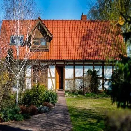 Comfortable With Terrace And Garden